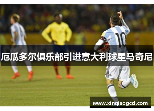 厄瓜多尔俱乐部引进意大利球星马奇尼